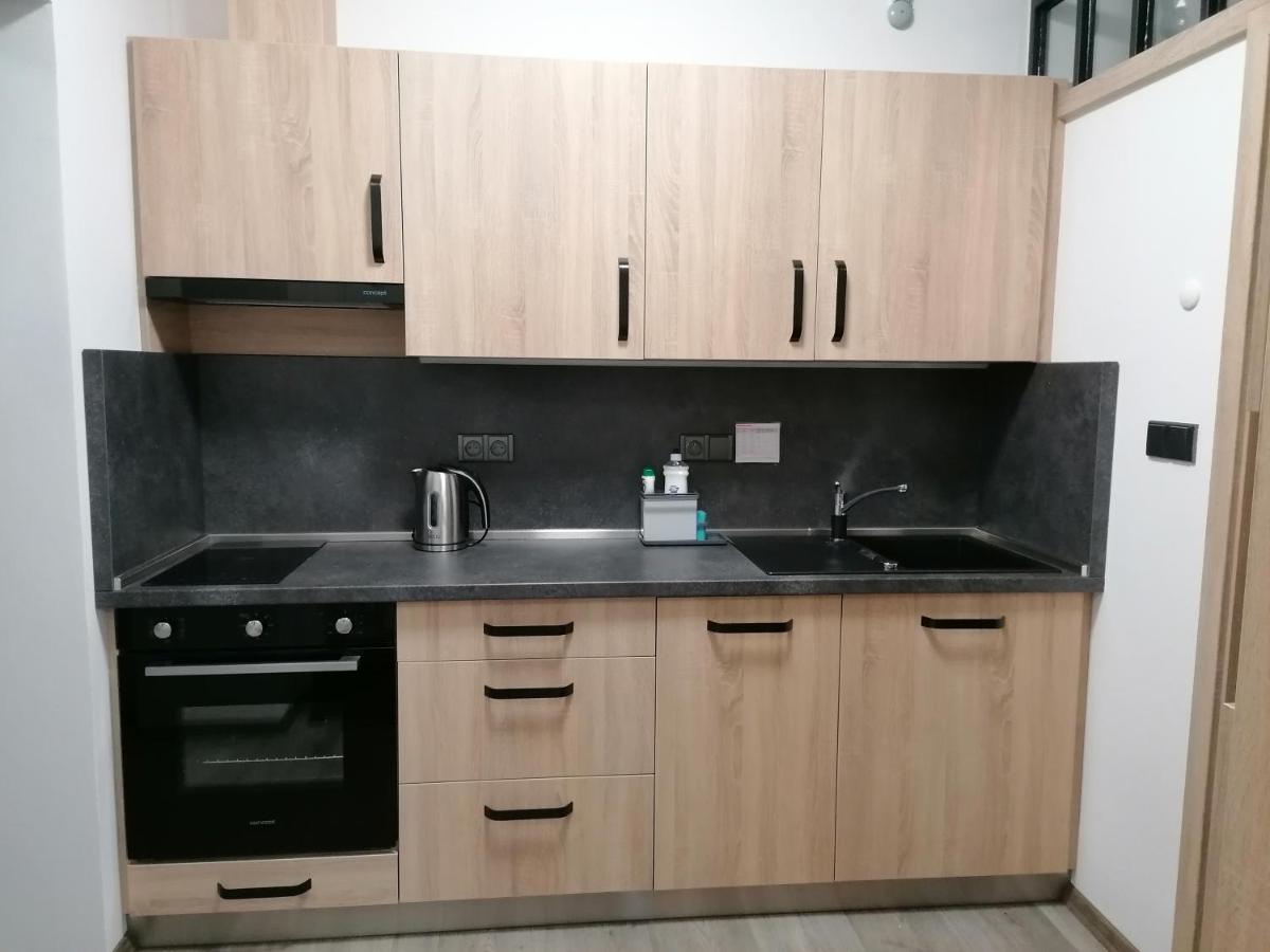 Apartman 88 Červená Voda Zewnętrze zdjęcie